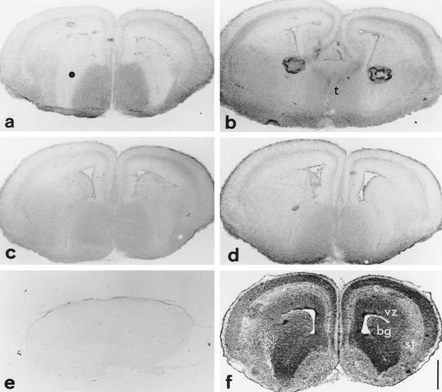 Fig 4.