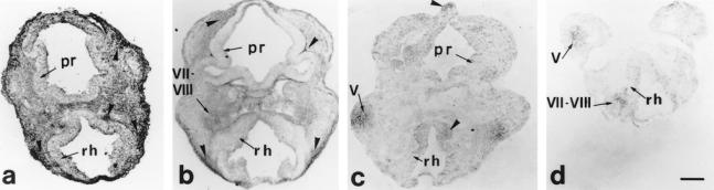 Fig 2.