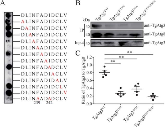 Figure 6.