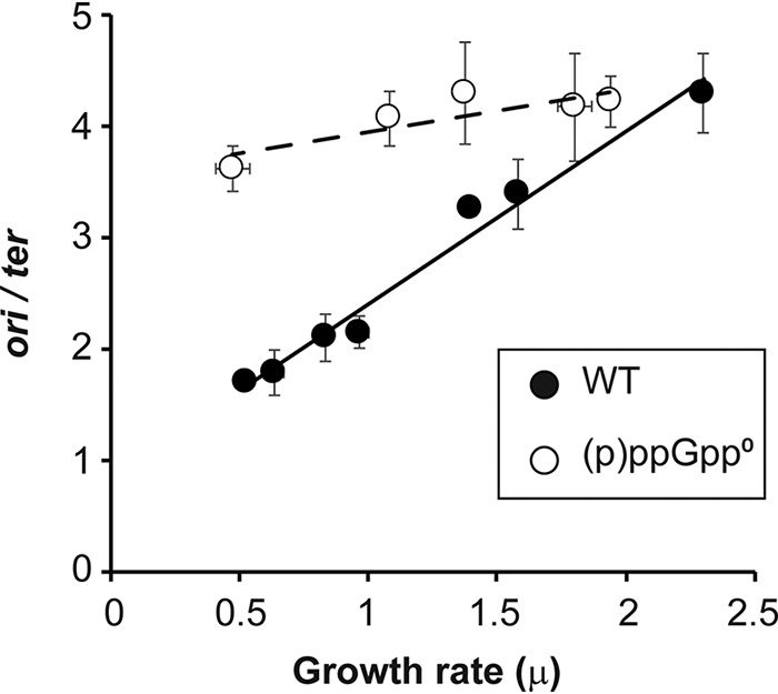 FIG 1