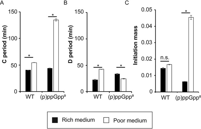 FIG 6