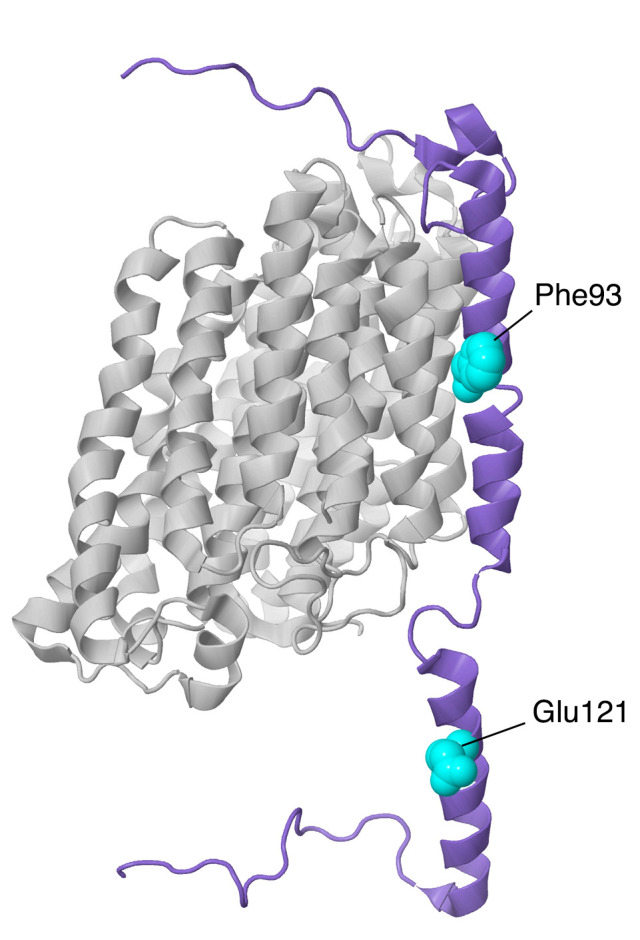 Figure 15