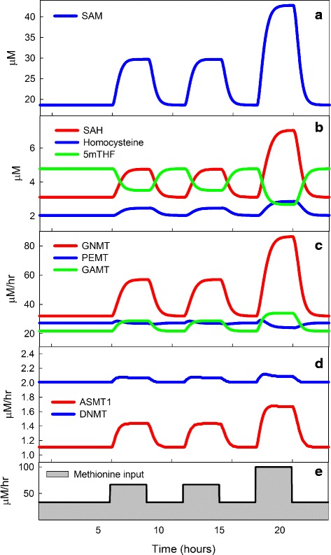 Fig. 7