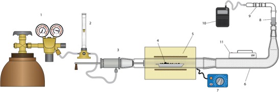 Fig. 1