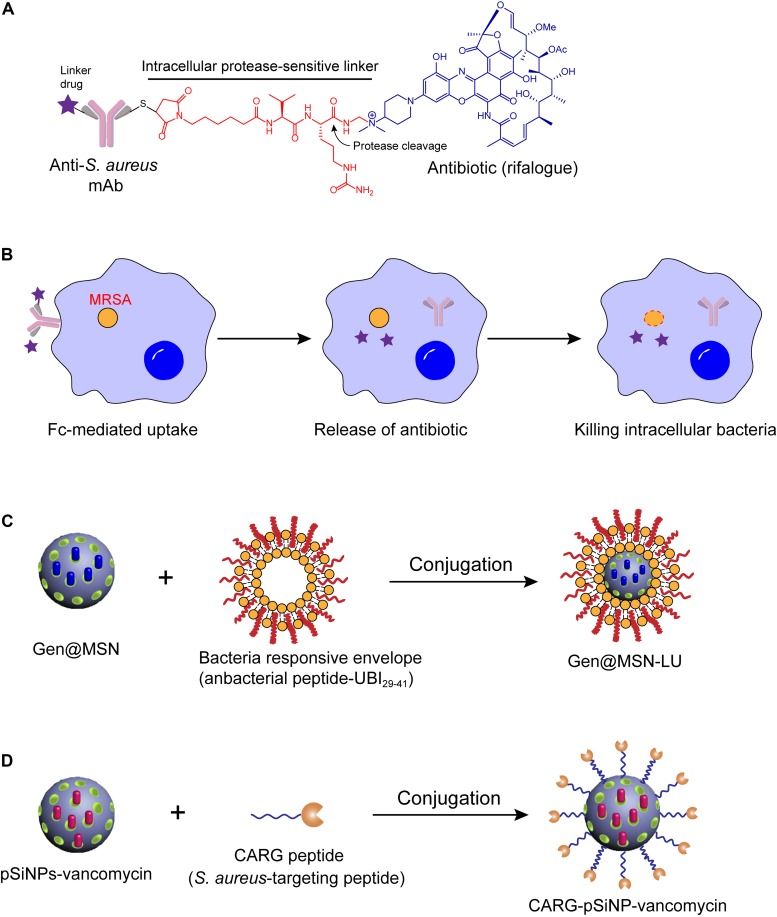 FIGURE 2