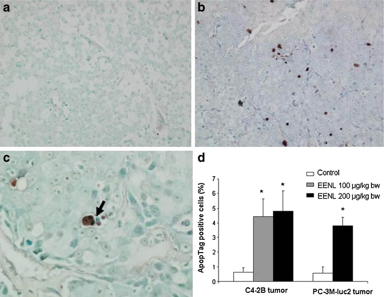 Fig. 6