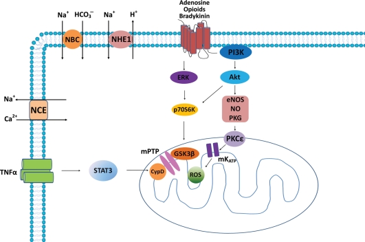 Figure 2