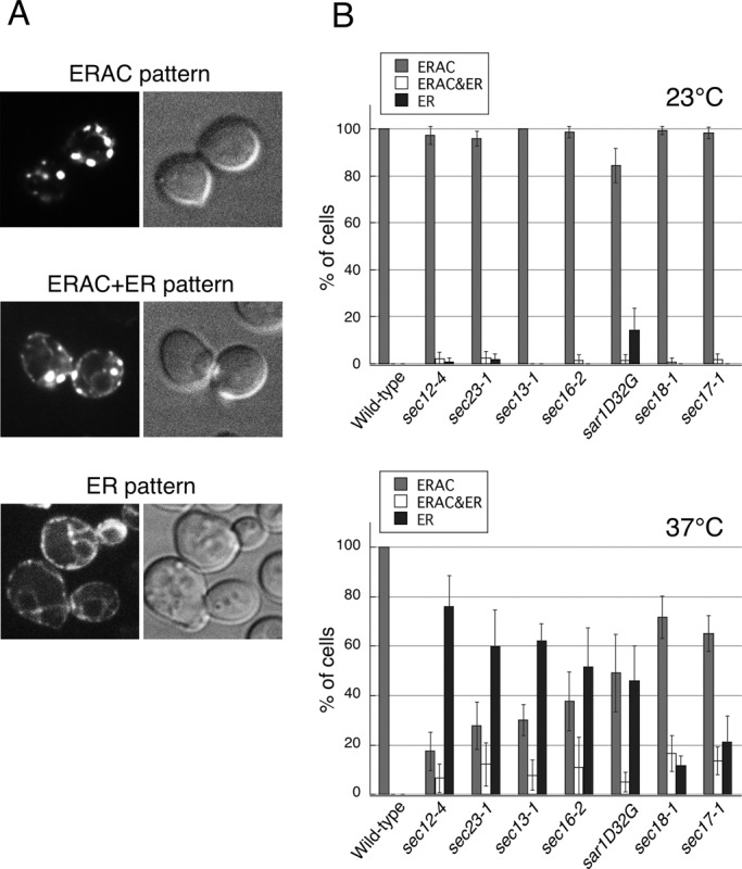 FIGURE 1: