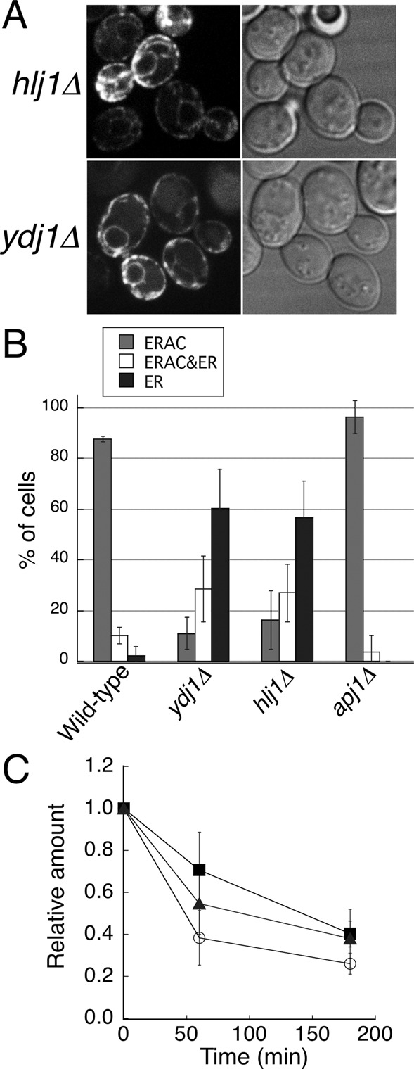 FIGURE 6: