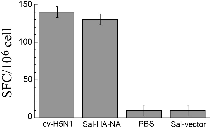 Fig 5