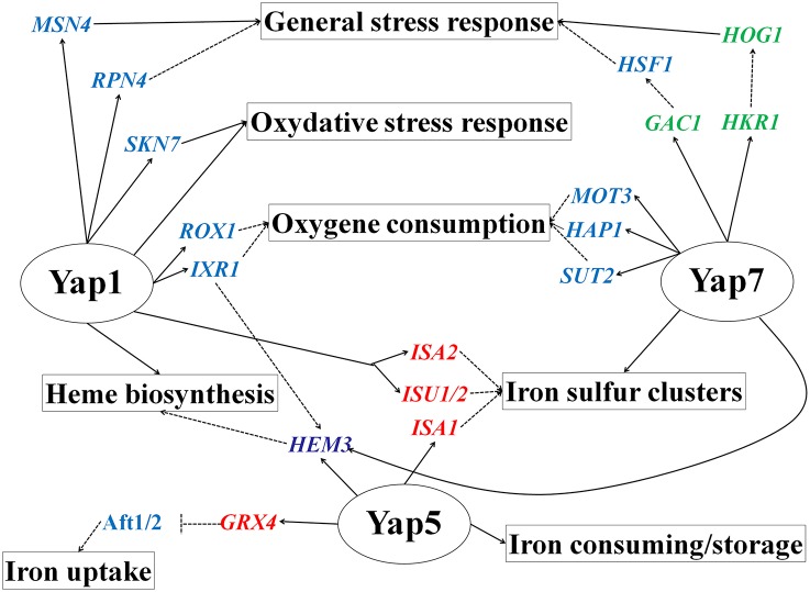 Figure 7