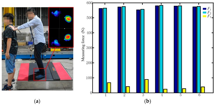 Figure 19