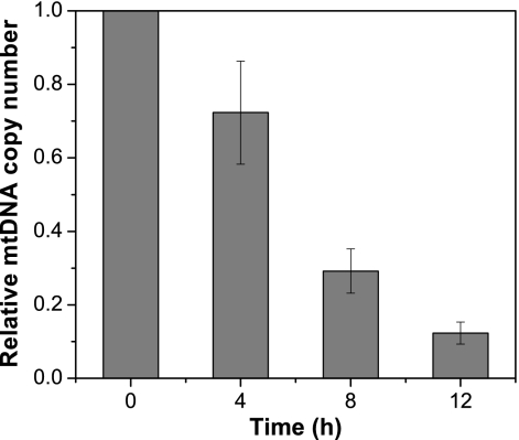 Fig. 4.