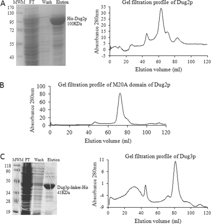 FIGURE 1.