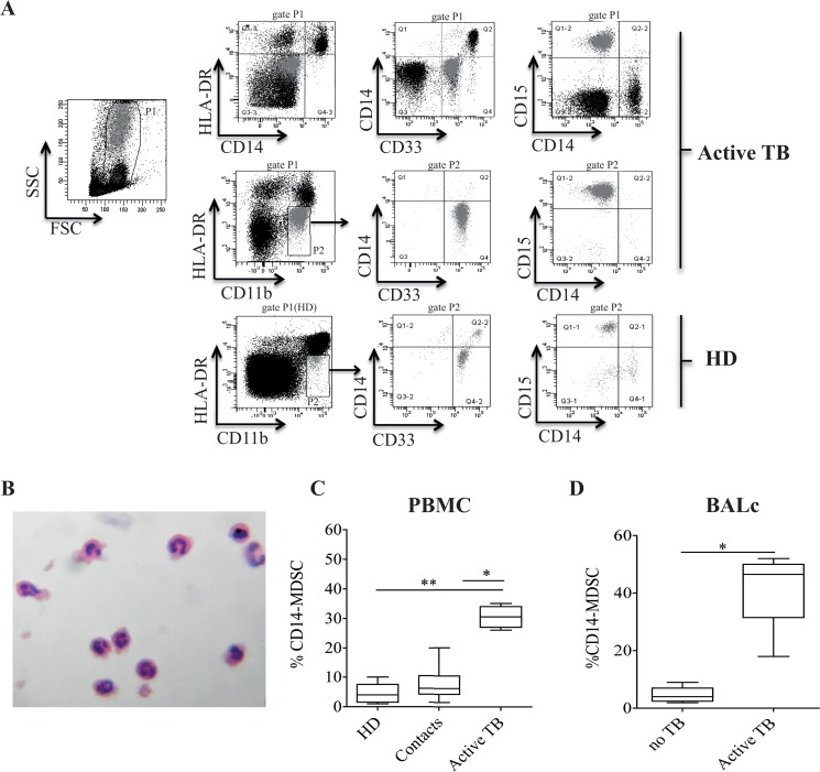 Fig 1