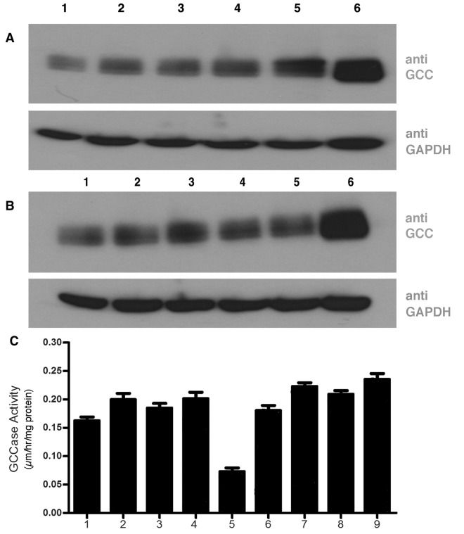 Fig 6