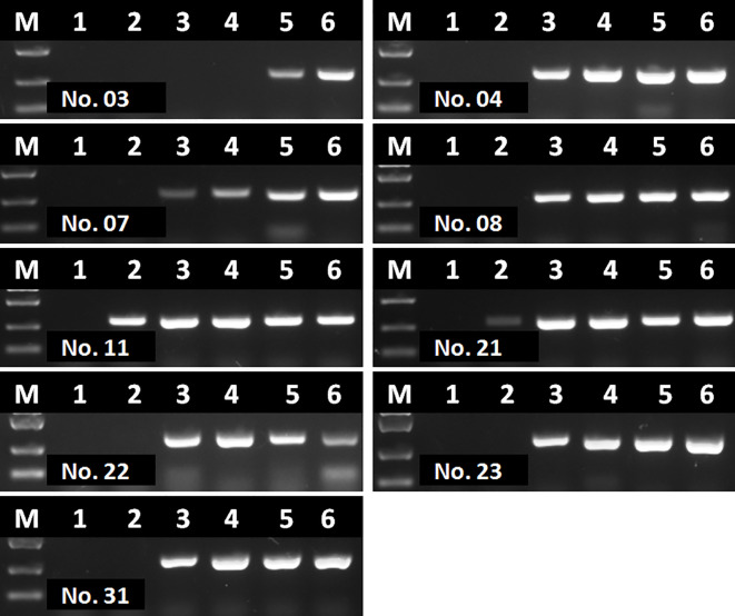 Figure 9