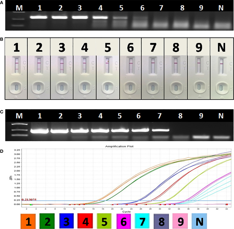 Figure 5