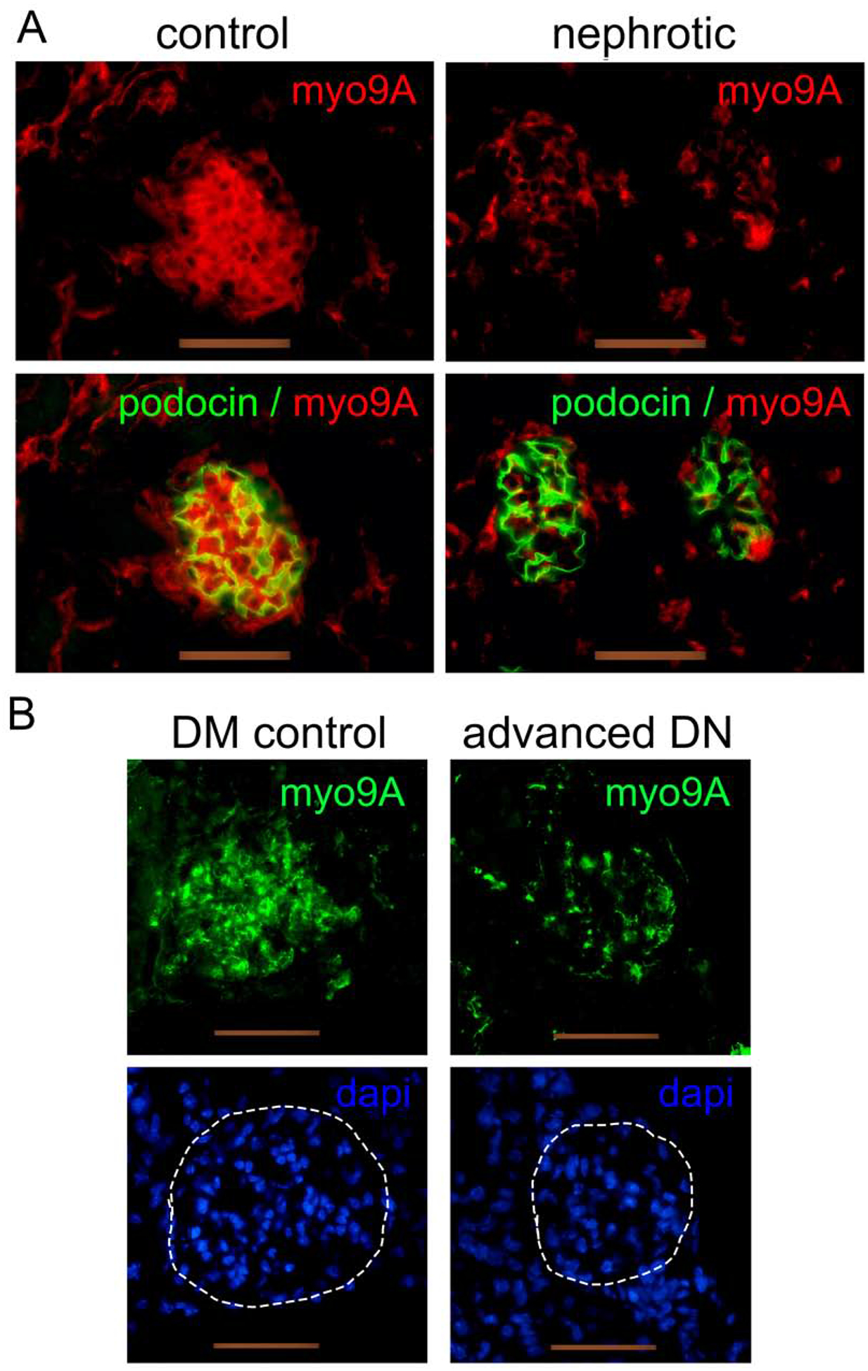 Figure 3: