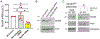 Figure 7: