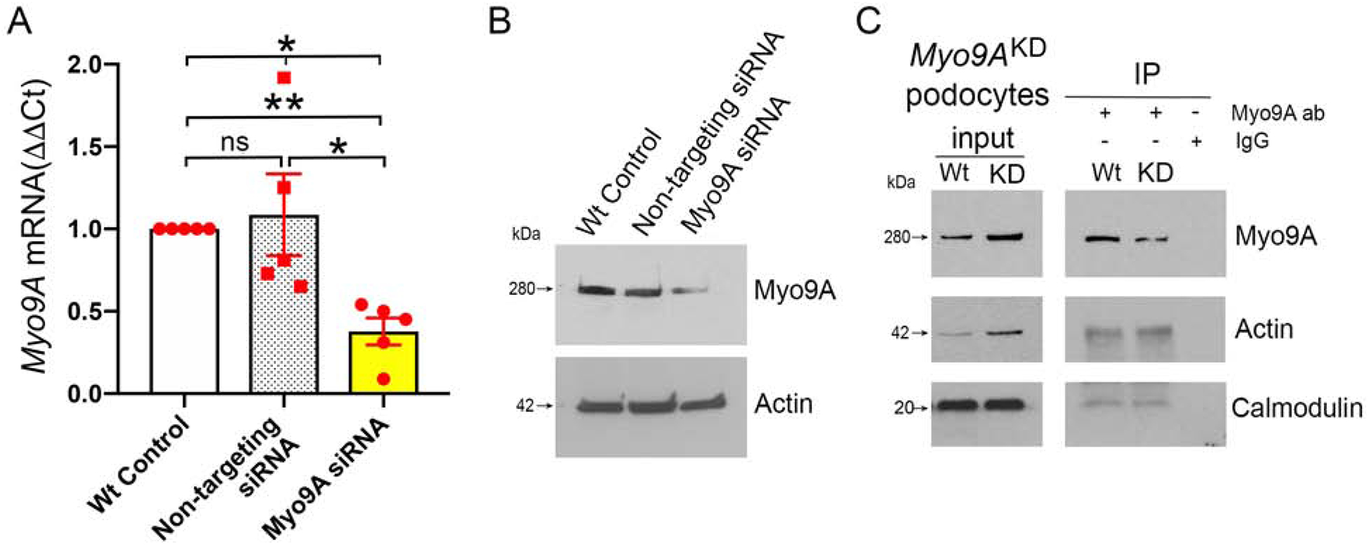 Figure 7: