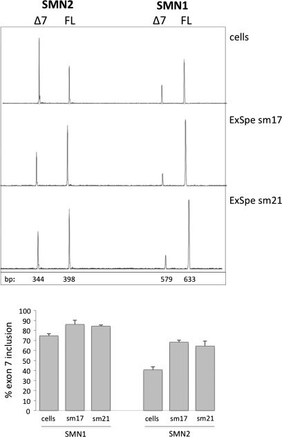 Figure 5.