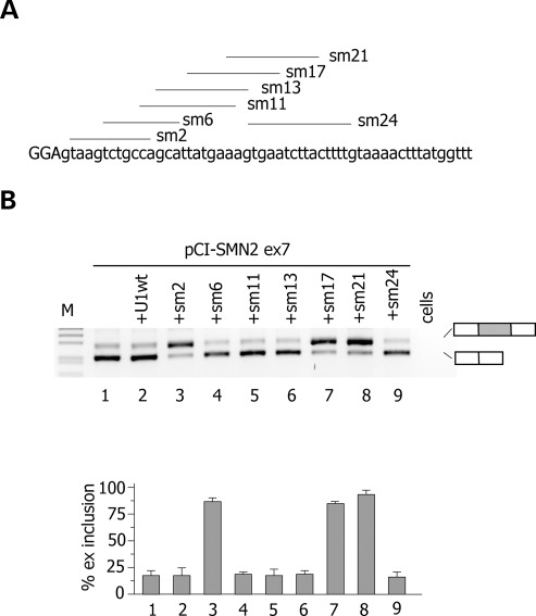 Figure 4.