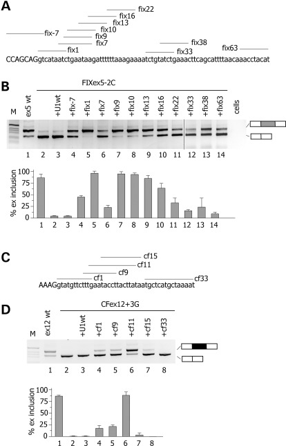 Figure 3.