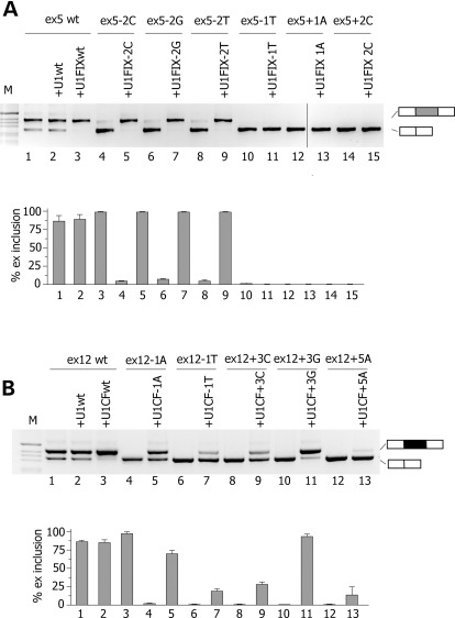 Figure 2.