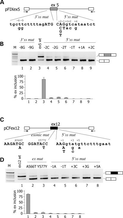 Figure 1.