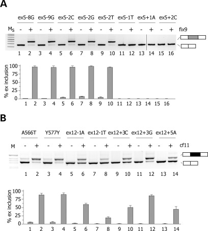 Figure 6.