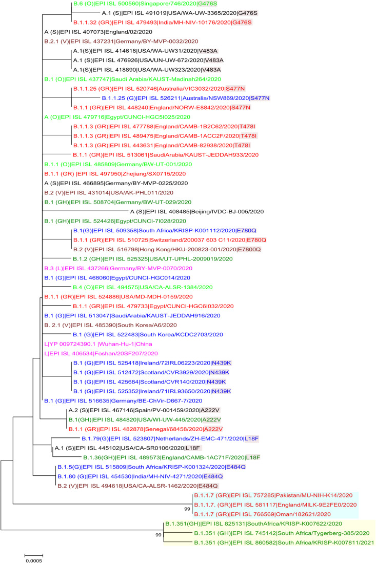 Fig. 3