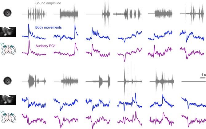 Extended Data Fig. 4