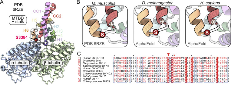 Figure 3.