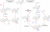 Scheme 2