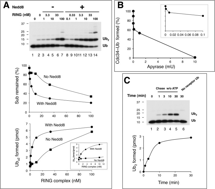 FIGURE 4.