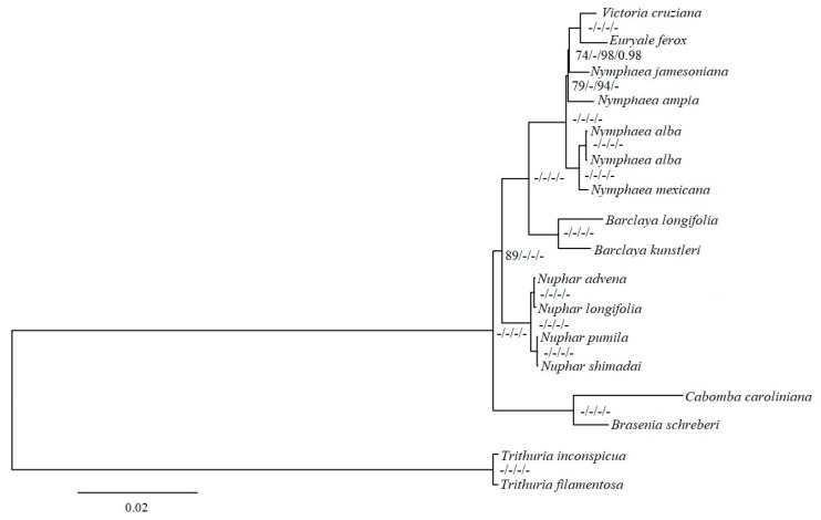 Figure 6