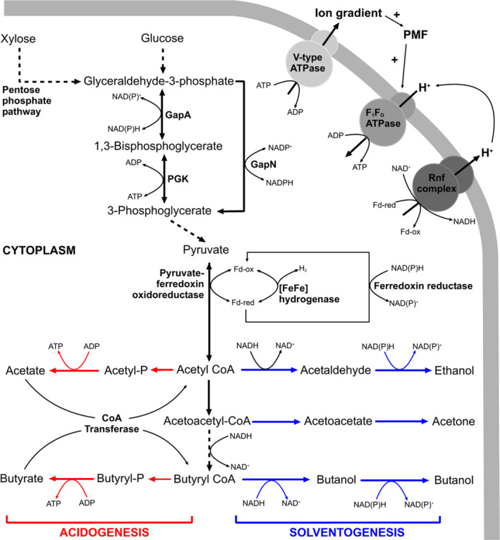 Fig. 1