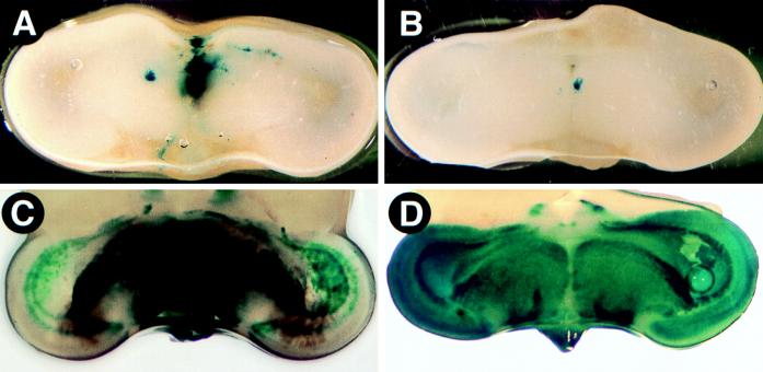 FIG. 7