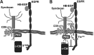 FIGURE 9.