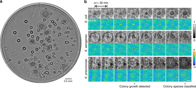 Fig. 3