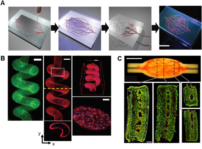 Fig. 7