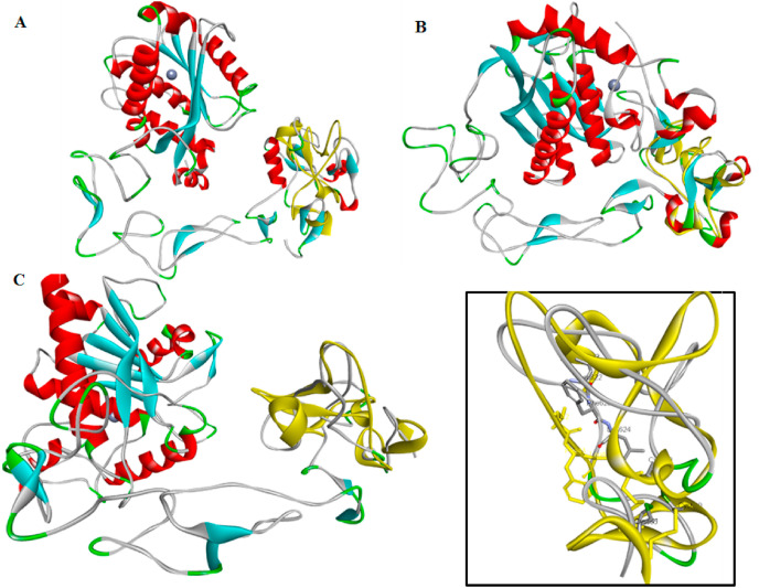 Fig. 2