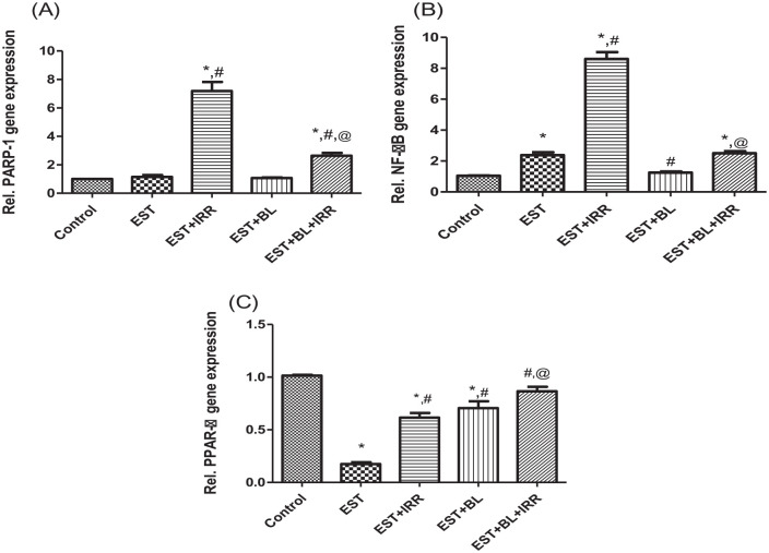 Figure 6.