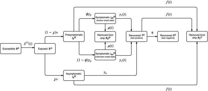 Appendix 1—figure 1.