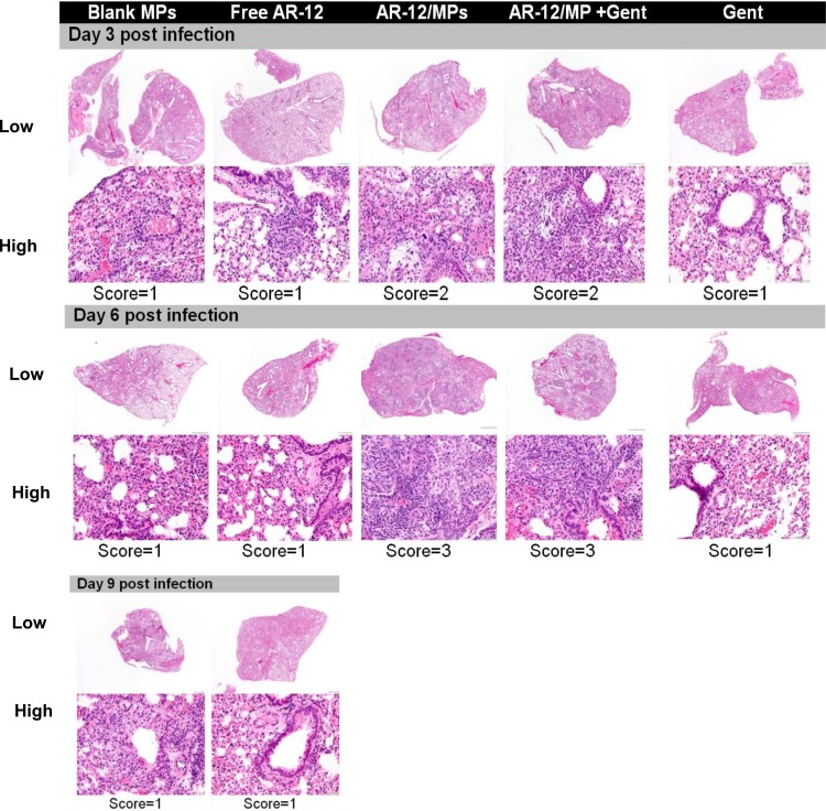 FIG 6