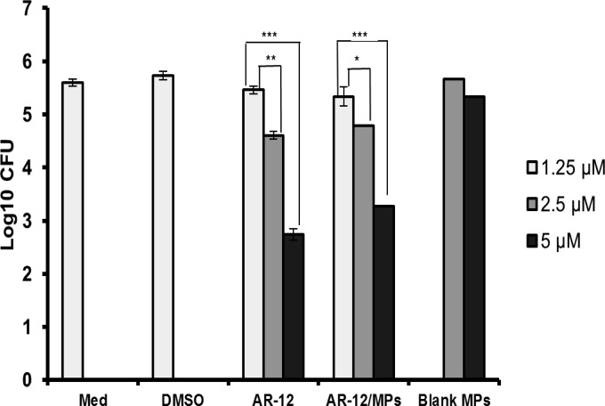 FIG 2