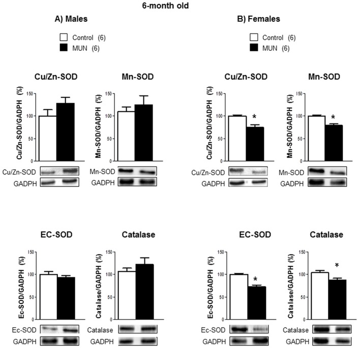 Fig 6