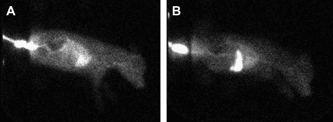 Fig. 2