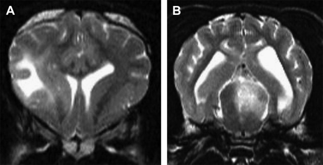 Fig. 10